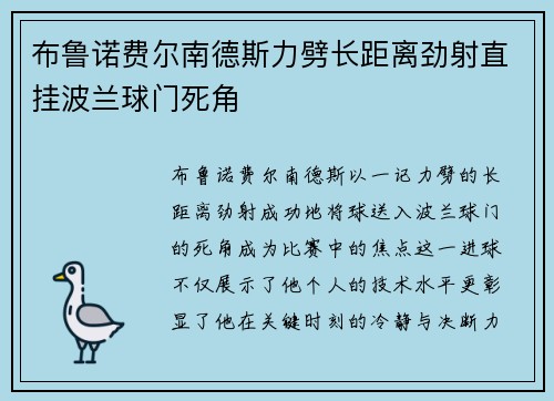 布鲁诺费尔南德斯力劈长距离劲射直挂波兰球门死角